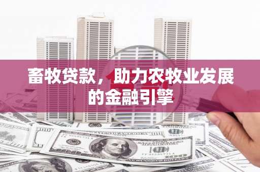 海端畜牧贷款，助力农牧业发展的金融引擎
