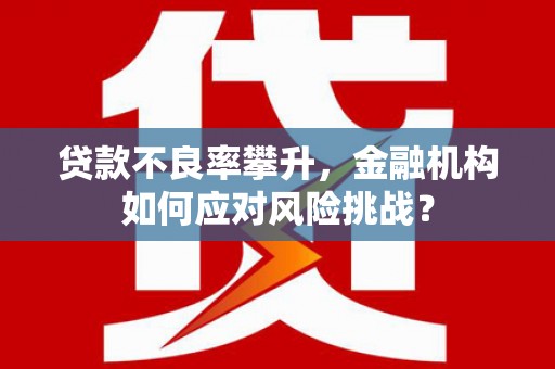 海端贷款不良率攀升，金融机构如何应对风险挑战？
