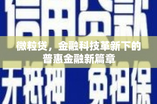海端微粒贷，金融科技革新下的普惠金融新篇章