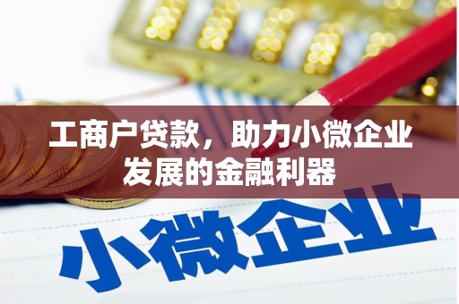 海端工商户贷款，助力小微企业发展的金融利器