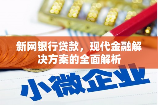 海端新网银行贷款，现代金融解决方案的全面解析