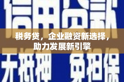 海端税务贷，企业融资新选择，助力发展新引擎