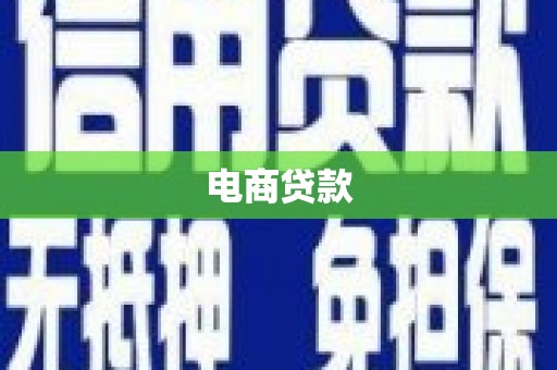 海端电商贷款