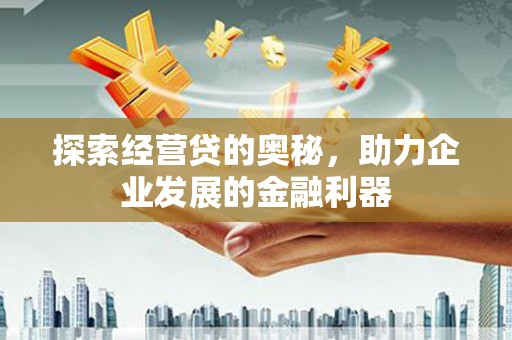 海端探索经营贷的奥秘，助力企业发展的金融利器