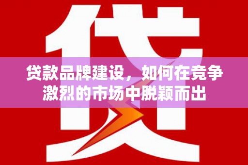 海端贷款品牌建设，如何在竞争激烈的市场中脱颖而出