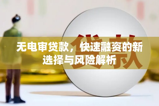 海端无电审贷款，快速融资的新选择与风险解析