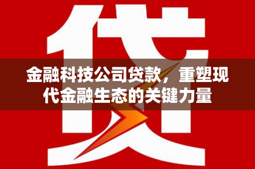 海端金融科技公司贷款，重塑现代金融生态的关键力量