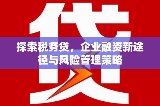 海端探索税务贷，企业融资新途径与风险管理策略