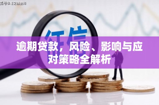 海端逾期贷款，风险、影响与应对策略全解析