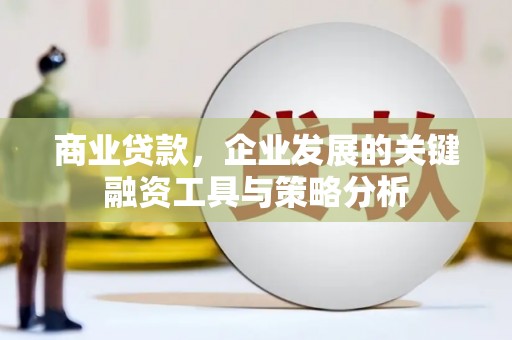 海端商业贷款，企业发展的关键融资工具与策略分析