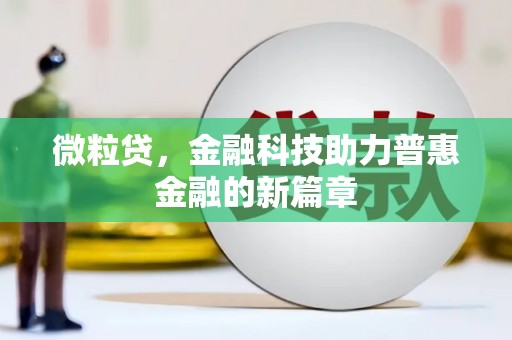 海端微粒贷，金融科技助力普惠金融的新篇章