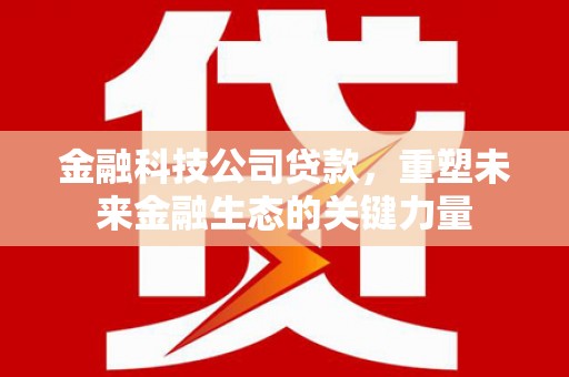 海端金融科技公司贷款，重塑未来金融生态的关键力量