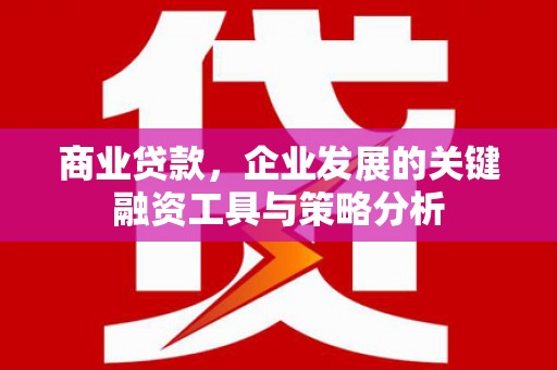 海端商业贷款，企业发展的关键融资工具与策略分析