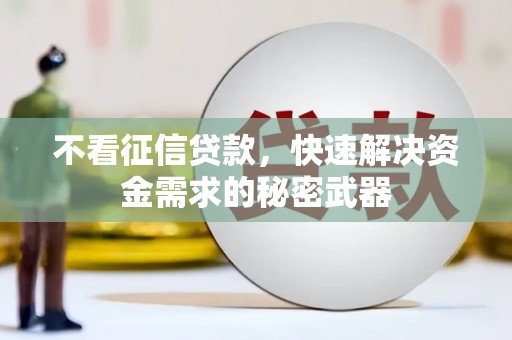 海端不看征信贷款，快速解决资金需求的秘密武器