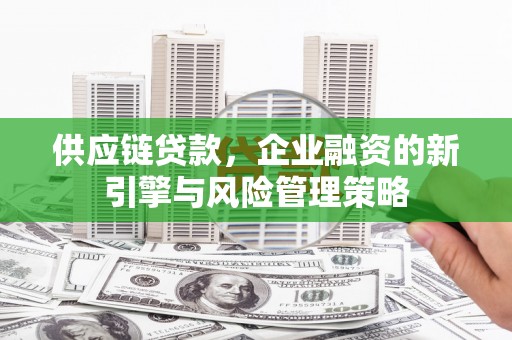 海端供应链贷款，企业融资的新引擎与风险管理策略