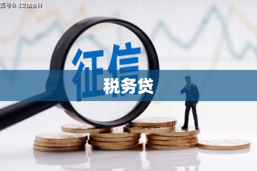 海端税务贷