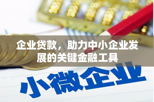 海端企业贷款，助力中小企业发展的关键金融工具