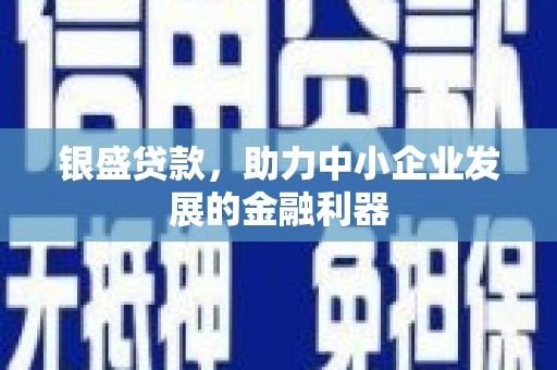 海端银盛贷款，助力中小企业发展的金融利器
