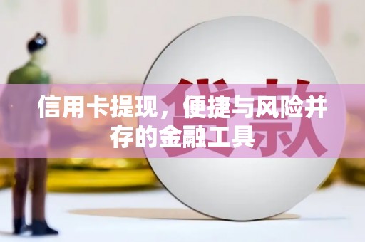 海端信用卡提现，便捷与风险并存的金融工具