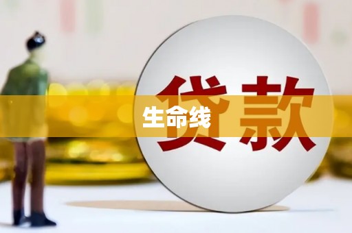 海端生命线