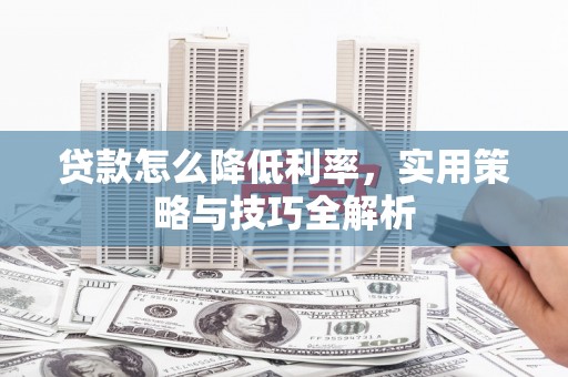 海端贷款怎么降低利率，实用策略与技巧全解析