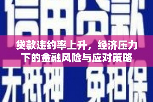 海端贷款违约率上升，经济压力下的金融风险与应对策略