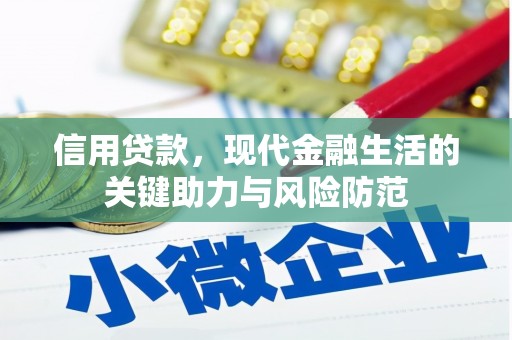 海端信用贷款，现代金融生活的关键助力与风险防范