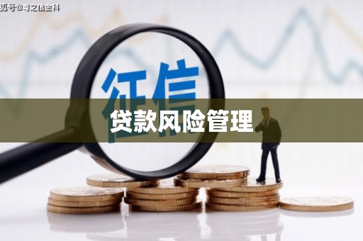 海端贷款风险管理