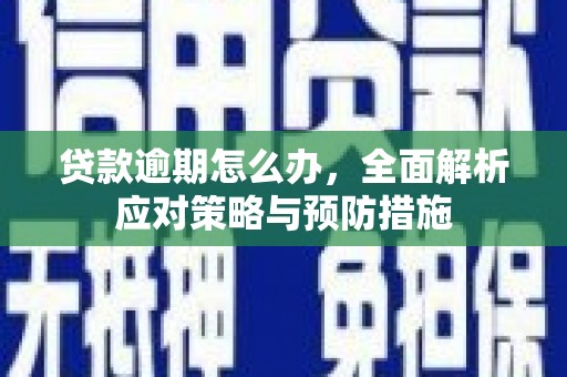 海端贷款逾期怎么办，全面解析应对策略与预防措施