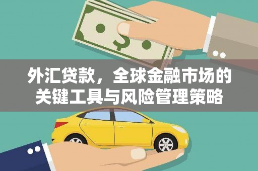 海端外汇贷款，全球金融市场的关键工具与风险管理策略