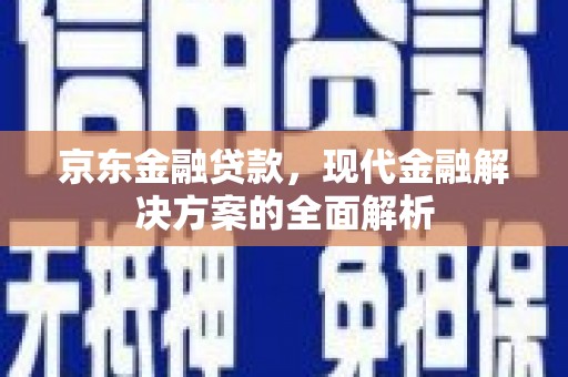 海端京东金融贷款，现代金融解决方案的全面解析