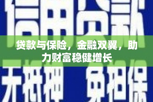 海端贷款与保险，金融双翼，助力财富稳健增长