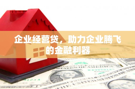 海端企业经营贷，助力企业腾飞的金融利器
