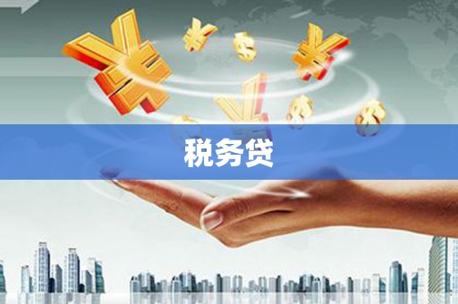 海端税务贷