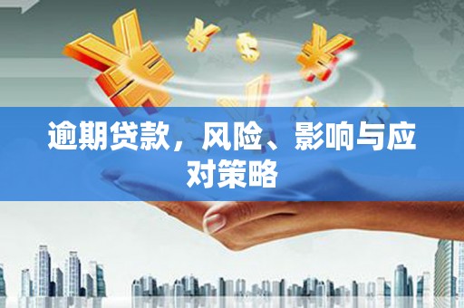 海端逾期贷款，风险、影响与应对策略