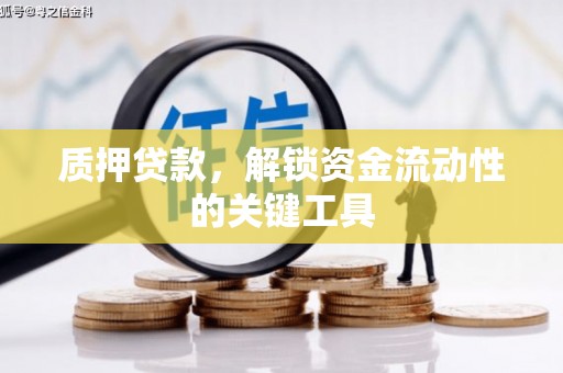 海端质押贷款，解锁资金流动性的关键工具