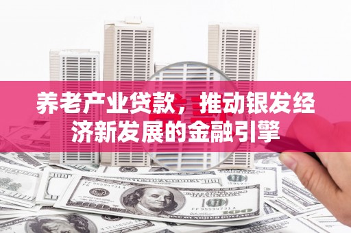 海端养老产业贷款，推动银发经济新发展的金融引擎
