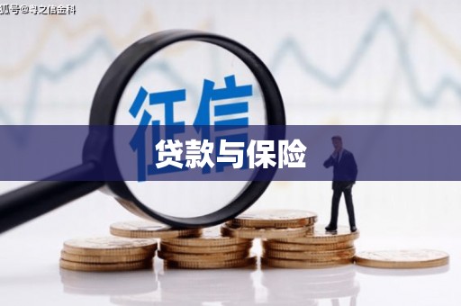 海端贷款与保险