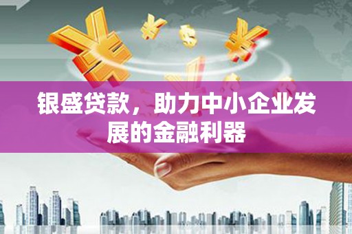 海端银盛贷款，助力中小企业发展的金融利器