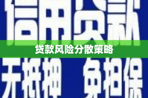 海端贷款风险分散策略
