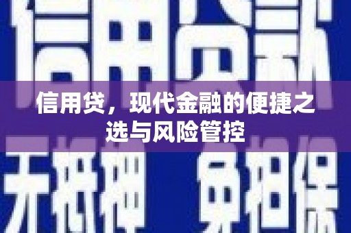 海端信用贷，现代金融的便捷之选与风险管控