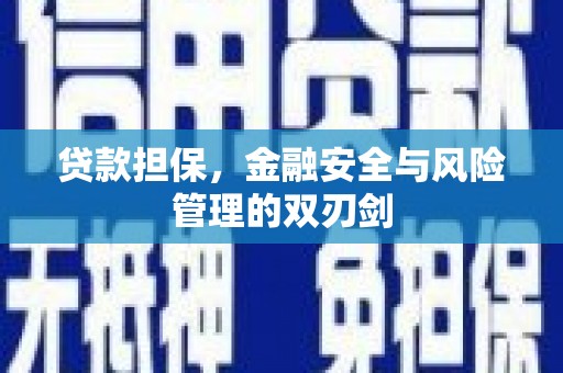 海端贷款担保，金融安全与风险管理的双刃剑