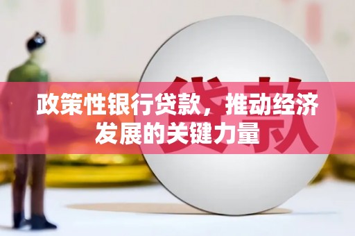 海端政策性银行贷款，推动经济发展的关键力量