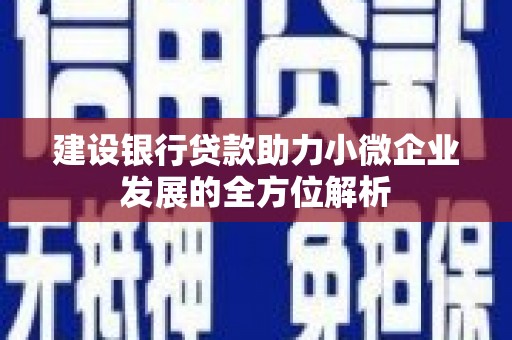 海端建设银行贷款助力小微企业发展的全方位解析