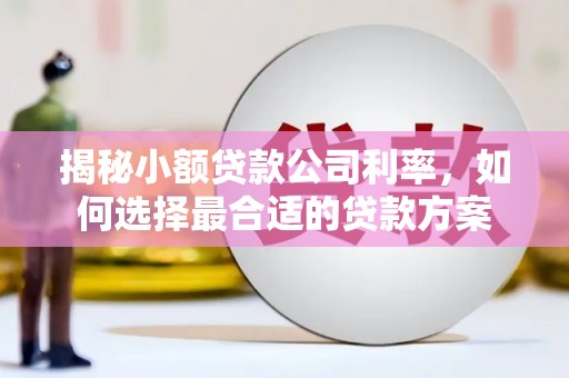 海端揭秘小额贷款公司利率，如何选择最合适的贷款方案