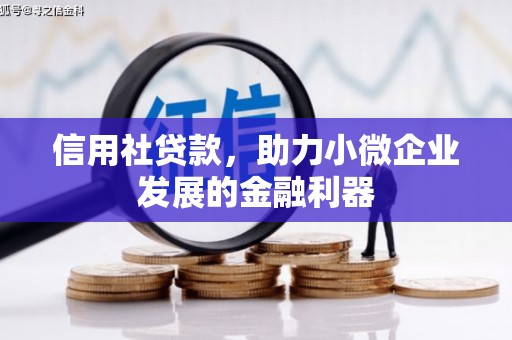 海端信用社贷款，助力小微企业发展的金融利器