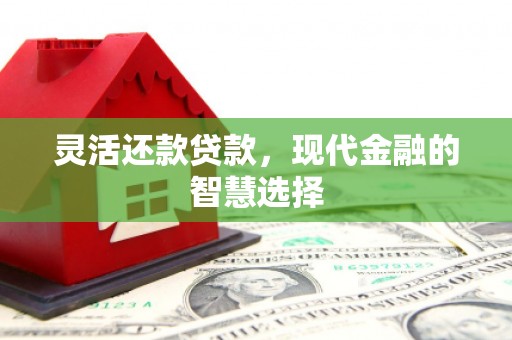 海端灵活还款贷款，现代金融的智慧选择