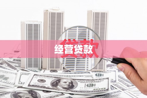 海端经营贷款