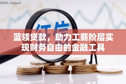 海端蓝领贷款，助力工薪阶层实现财务自由的金融工具