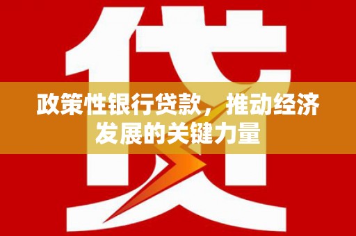 海端政策性银行贷款，推动经济发展的关键力量